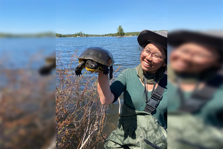 Whitefish River turtle researchers received Knowledge Braider Awards