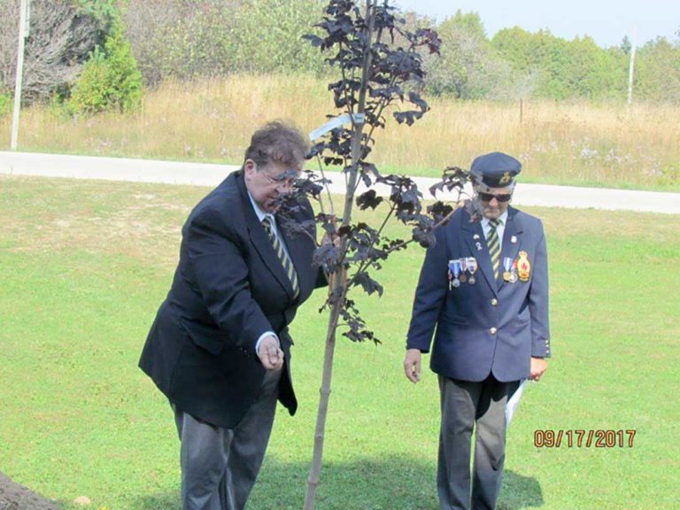 Vimy oaks planted at Manitoulin District Cenotaph