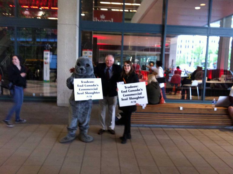 Why Justin Trudeau “dismembered” the Liberal Party