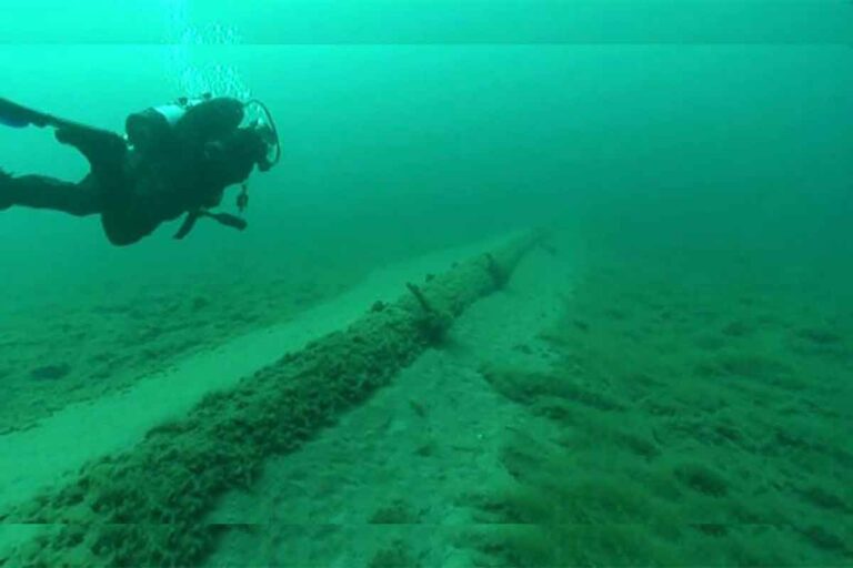 Line 5 tunnel plan raises red flags for Great Lakes water, wildlife and wetlands