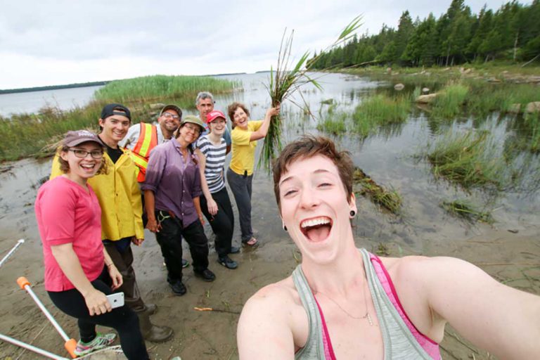 Phragmites week was a two front success