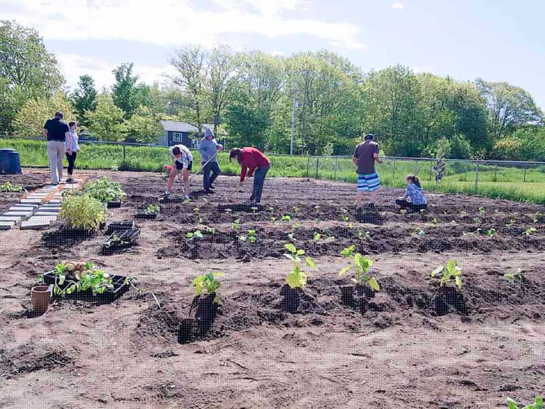 Cultivating the M’Chigeeng Community Garden draws curious glances to the lot