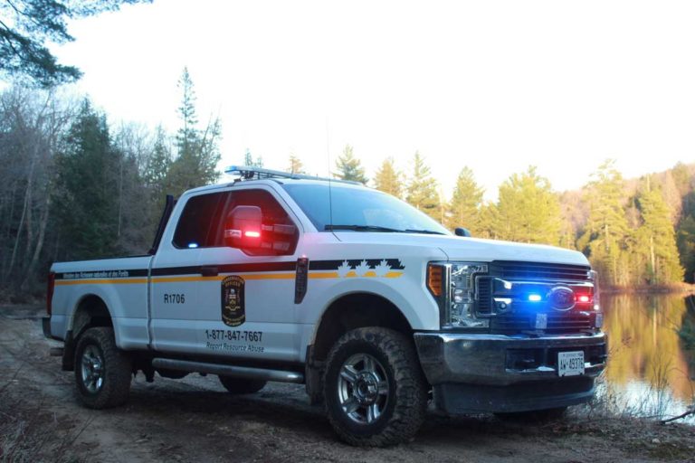 Contact with infected wildlife can likely spread COVID-19 to humans, scientists report