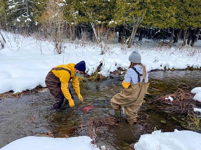 Brook trout eyed-egg event a success  despite strict COVID-19 safety measures