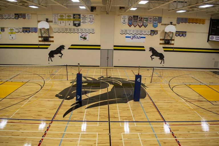 MSS 50th-anniversary makeover well underway