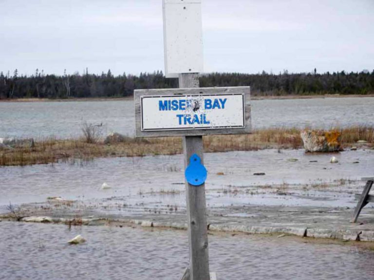 ATV rider vandalizes unique alvar feature at Misery Bay Park