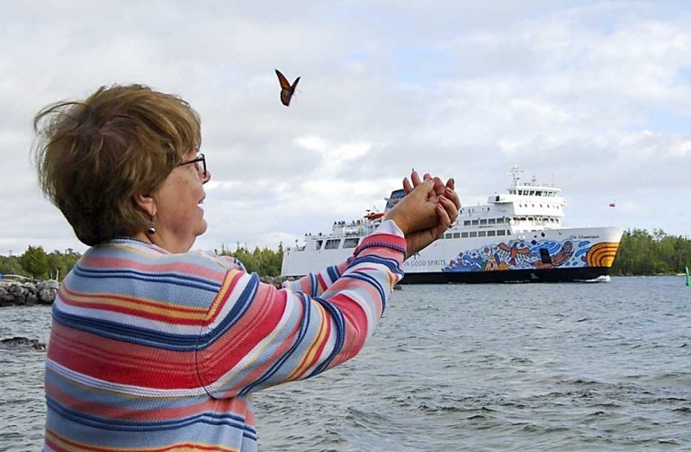 Last of summer’s monarch butterflies wing way south across Lake Huron