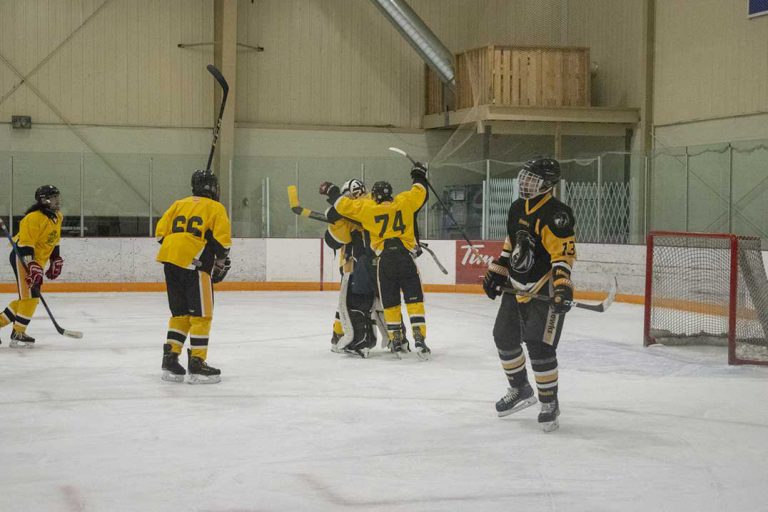 Mustangs hockey teams conclude season