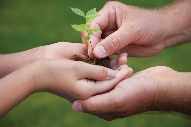 Plan before you plant: start your site plans for spring this fall