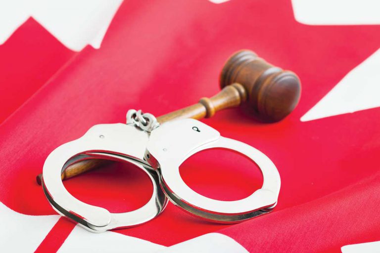 Burpee-Mills council considers requesting charged offenders to pay restitution costs