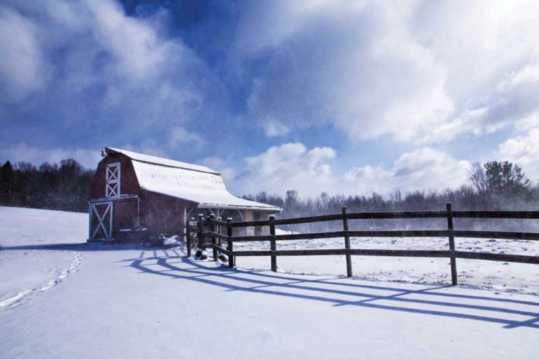 Manitoulin Cattlemen’s and Soil and Crop Association holds annual meeting