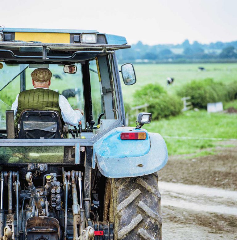 Province offers hand up to beef farmers, eases loan conditions