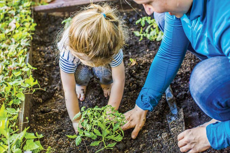 Plan on getting the most out of your garden this season