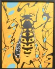 OCF show-Yellow Jacket and the Summer Heat