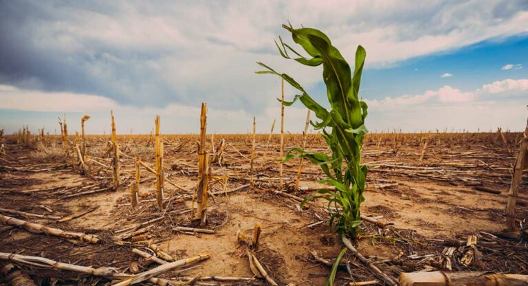 Ontario climate study predicts dire effects; senior author forecasts common-sense outcome