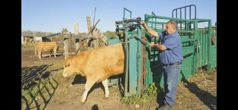 Island farmer featured in Soil and Crop promotional video