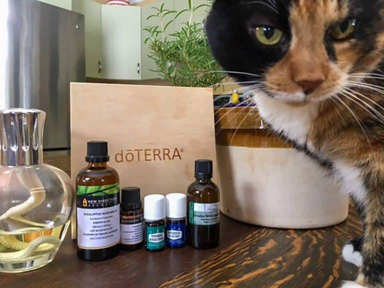 Paws for Thought: Smelling the Roses