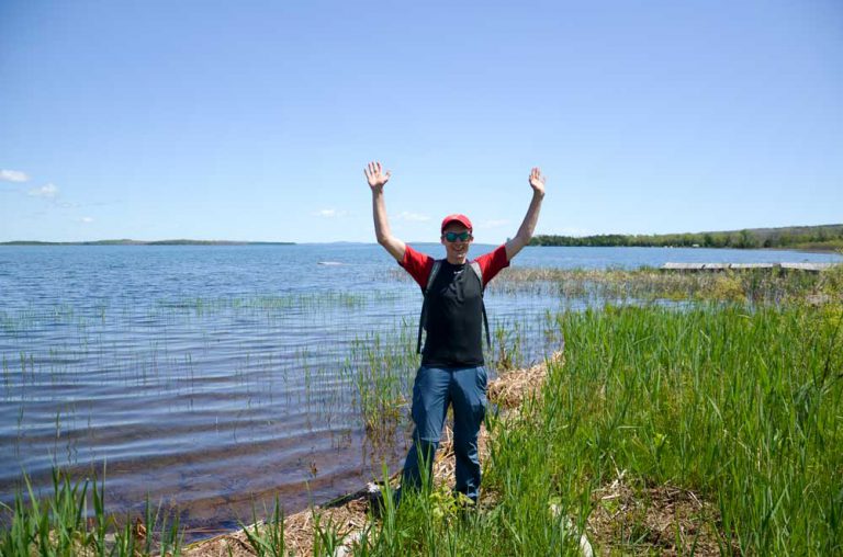 Battle against phragmites gains ground on Manitoulin