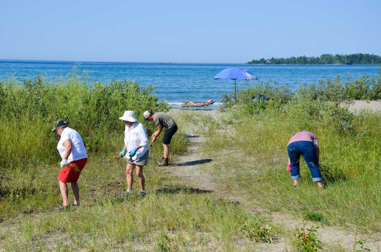 Central Manitoulin gets nod for work to be carried out on Prov Bay Beach