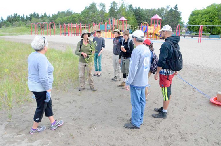 Hardy group of volunteers brave rains to clean Providence Bay beach