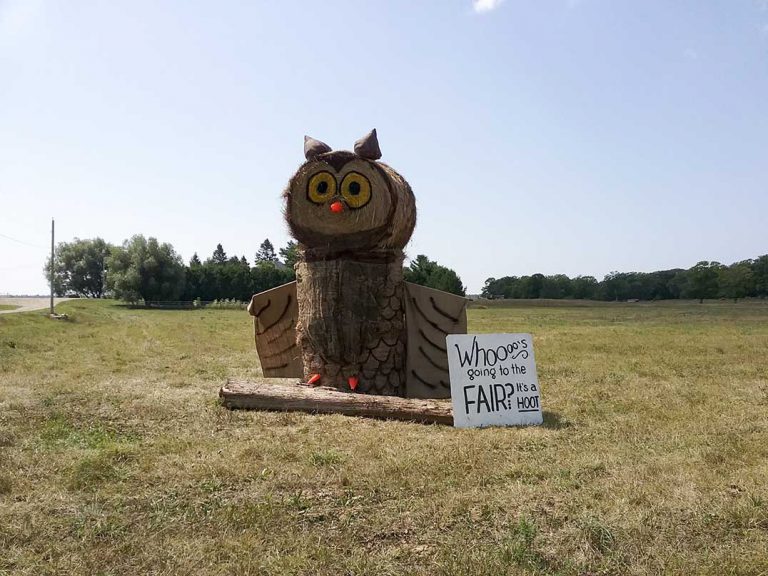 The 135th annual Providence Bay Fair takes place this weekend, go check out the fun