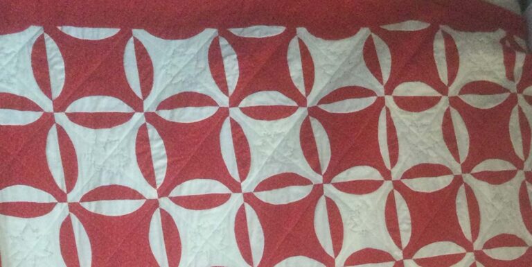 Let’s Meet the Island Quilt Guild Members