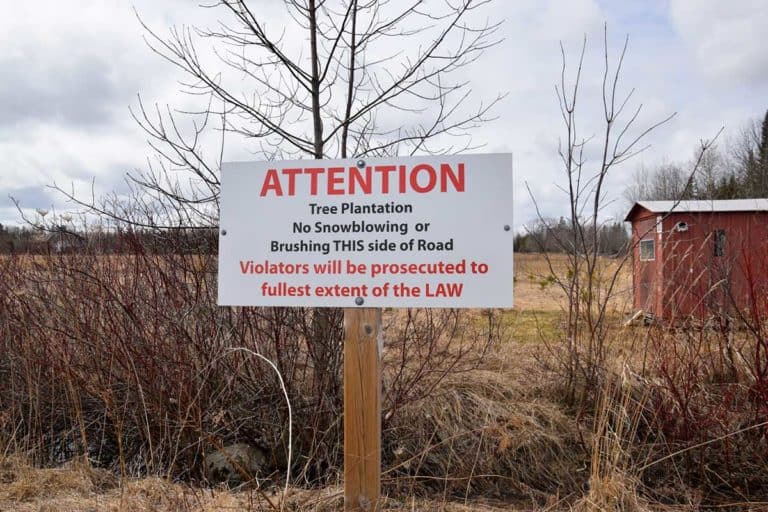 Neighbours’ dispute in Green Bay area brings focus to rural ‘right to farm’ debate