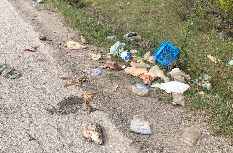 Volunteer Rockville cleanup crew loads pickup truck three times, finds freshly dumped waste, 500 beer cans