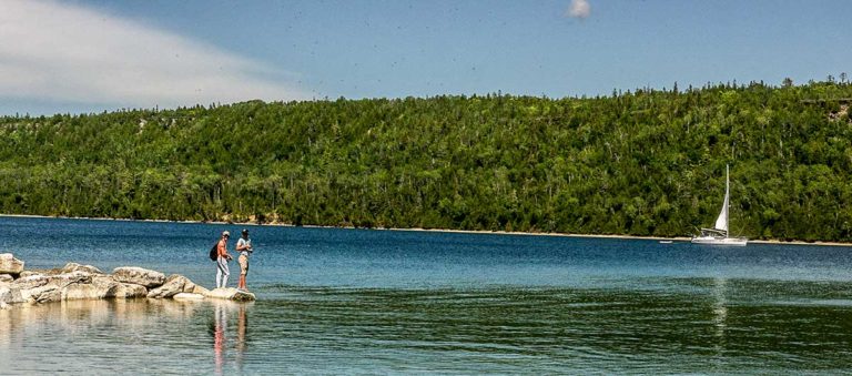 Ministry of Natural Resources and Forestry completes spring fish planting