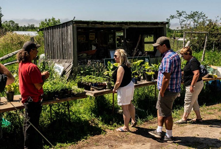 Our big backyard beckons – Rediscover Manitoulin Island pleasures on the Union Road and Poplar