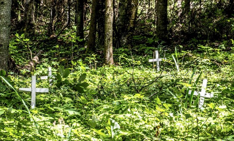 Michael’s Bay: Manitoulin’s vanished boomtown tells a ghostly tale