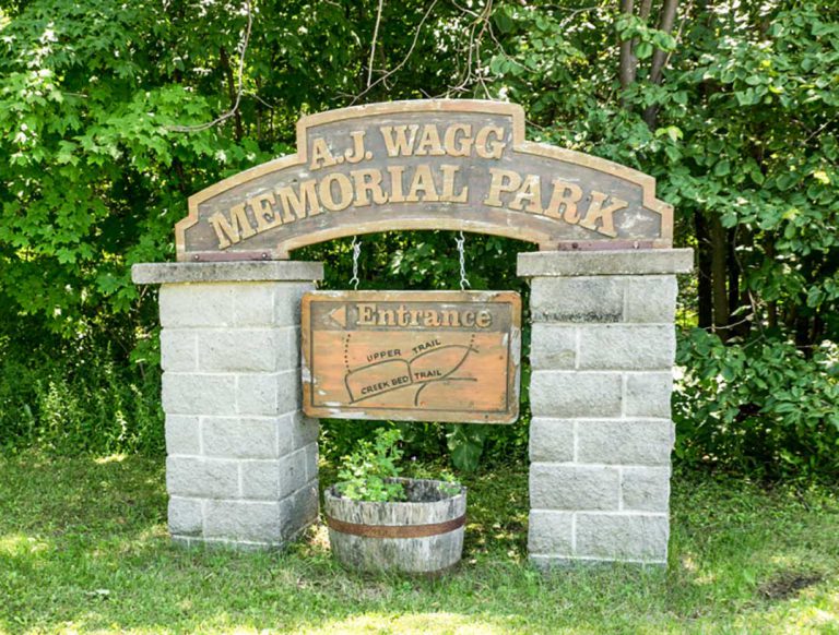 Manitoulin Nature Club updated on Wagg’s Wood property concerns