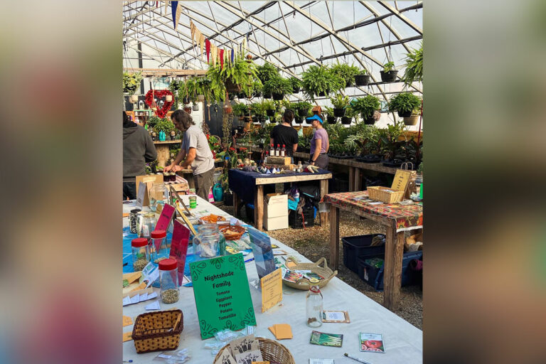 Sixth annual Tehkummah Seed Exchange held on weekend provided more than seeds