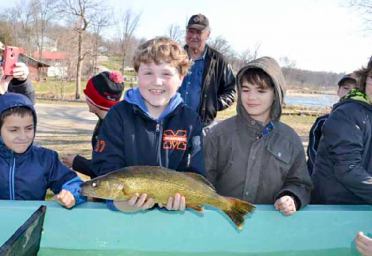Angler input sought for walleye 