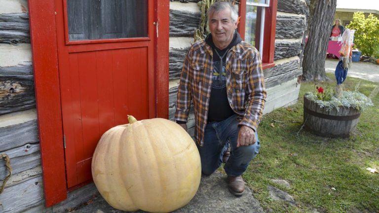 Pumpkin Fest takes over Centennial Museum