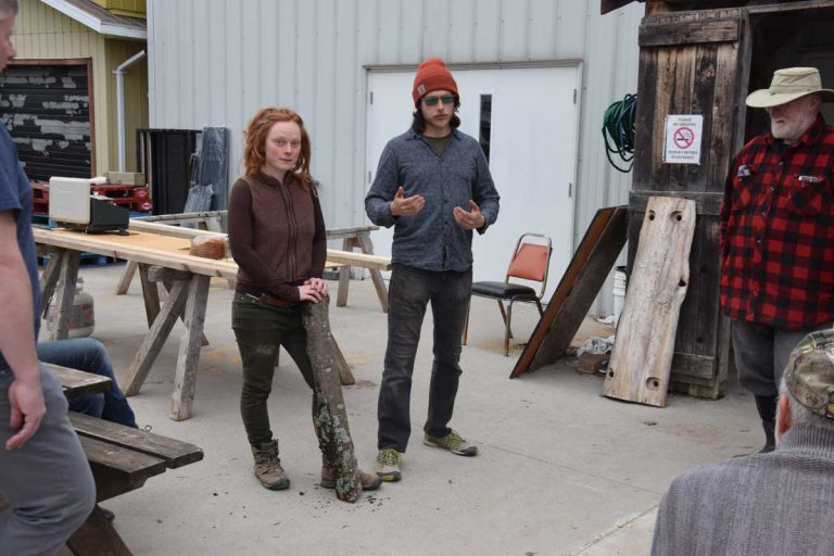 Mushrooms in a log equals a tasty woodland harvest