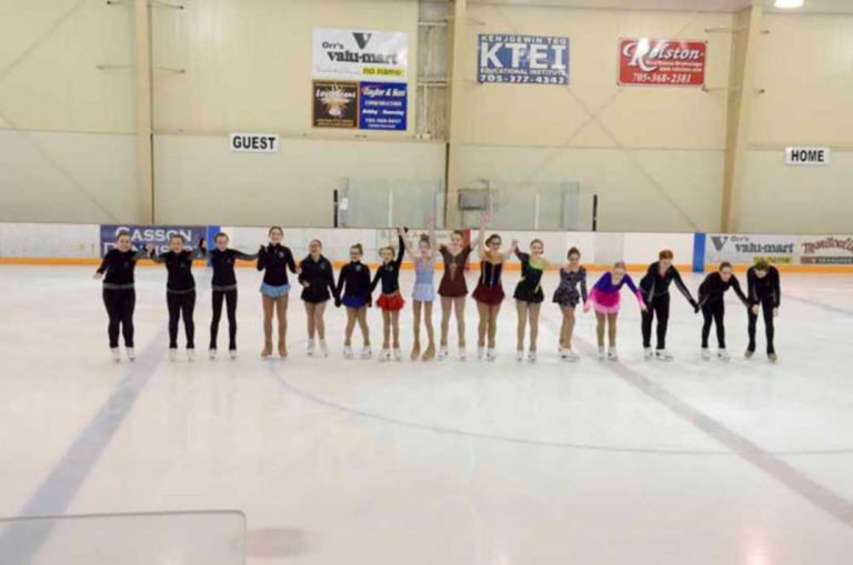 Figure skaters shine at Island Skate 2017