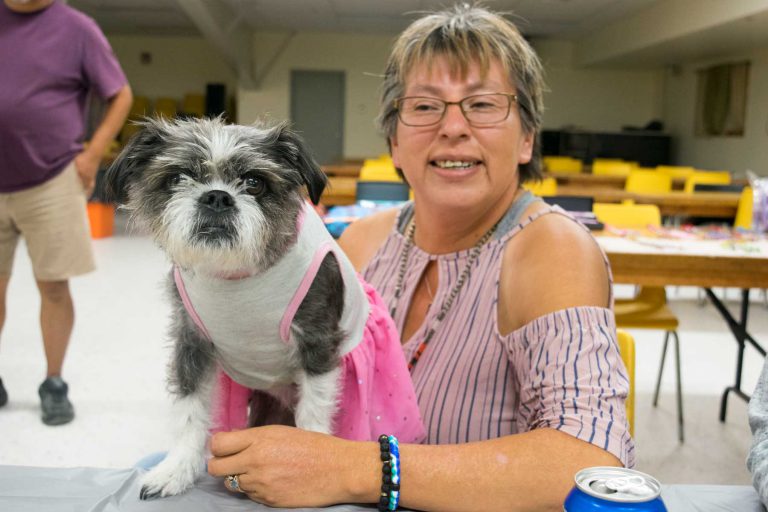 Mobile vet clinic helps tackle stray dog problem