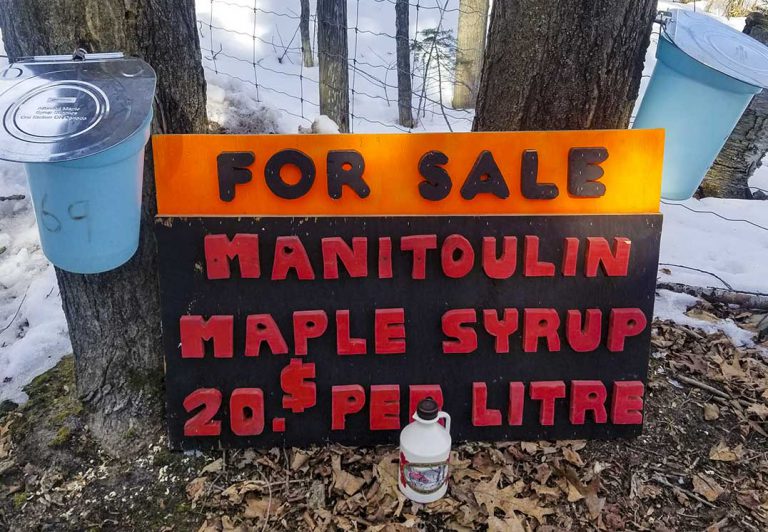 Giving back at syrup auction is a sweet gesture