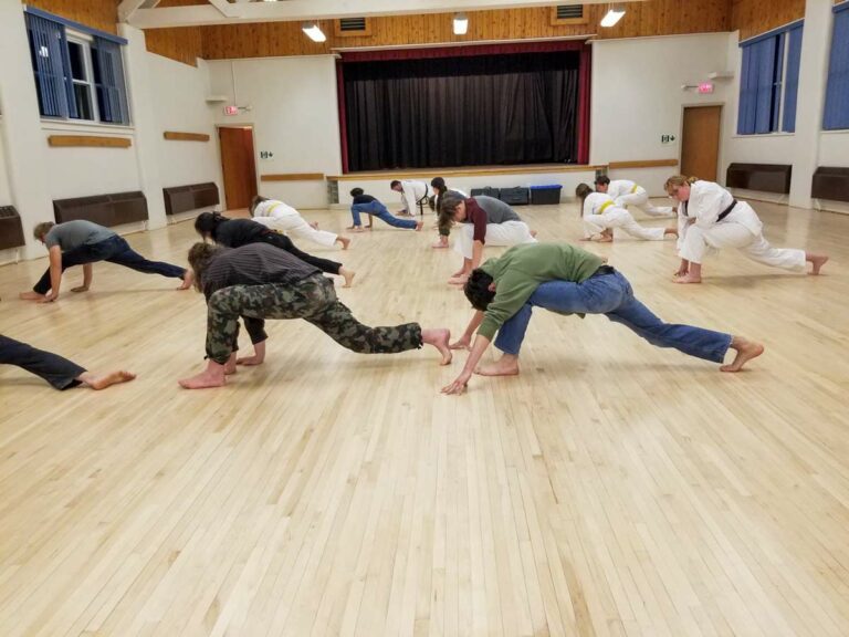 Year-round Taekwondo comes to Mindemoya Community Centre