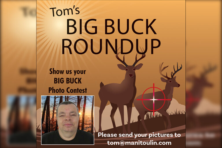 Big buck contest!