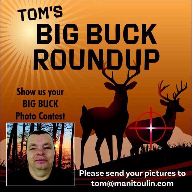 Tom’s Big Buck Contest