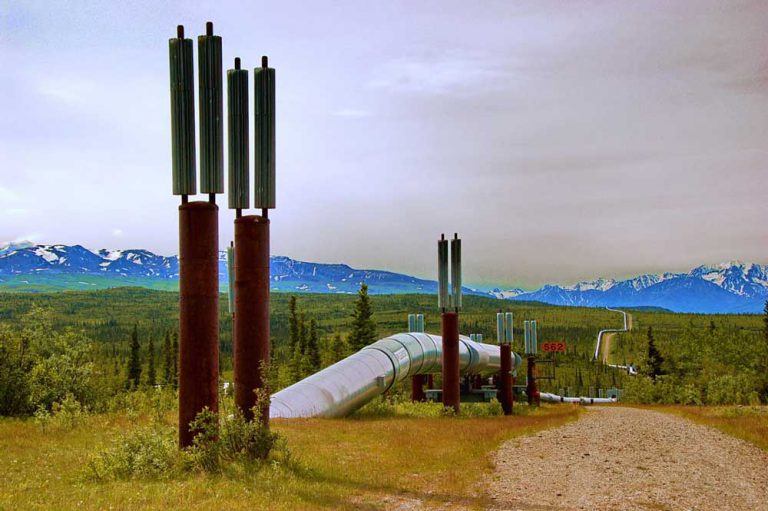 Anishinabek Nation grand council chief opposes Canada’s purchase of pipeline