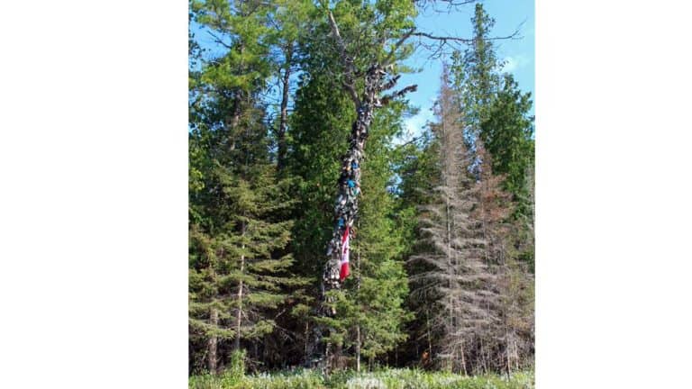 The Slash’s famous shoe tree no more