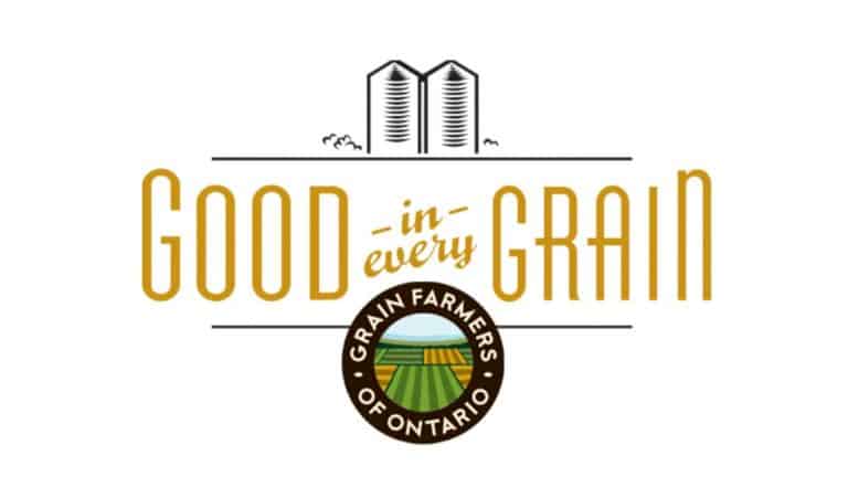 Gen Z’s embracing the ‘good in every grain’: Grain Farmers