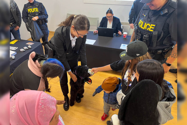 Community Safety Fair boasts over 600 visitors