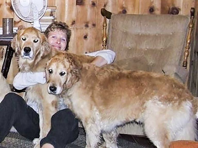 Julie McDermid’s love of four-legged friends is her reason for volunteering