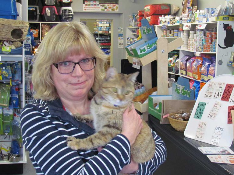 Helping Manitoulin Island felines has become a deep passion for Kathy Jewell