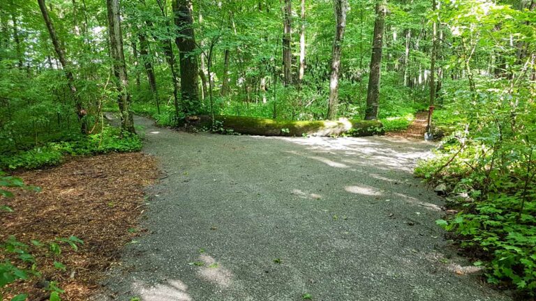 Trail committee recommends changes for Wagg’s trail
