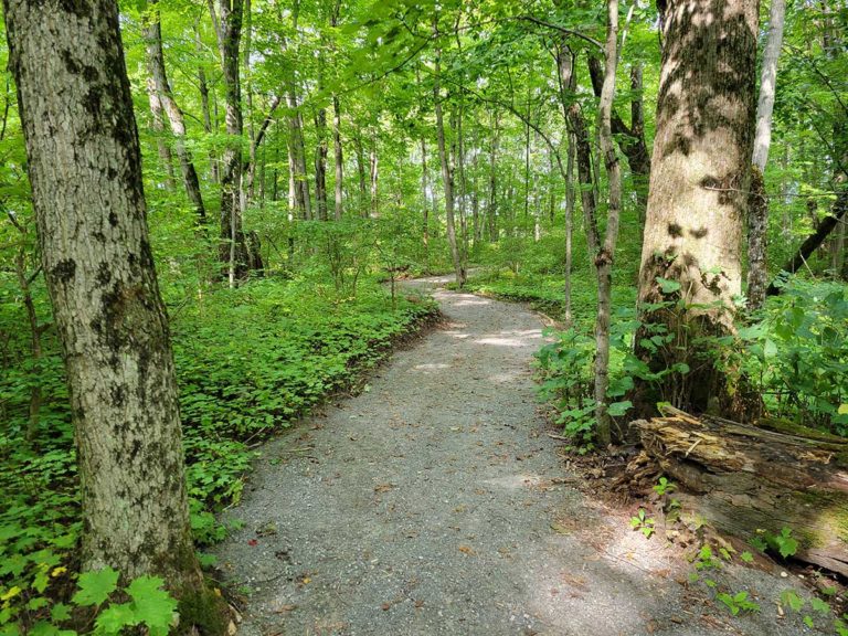 Wagg’s Park makeover unveiled  and ready to welcome the public